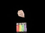 L_V19d8259 J1q850.3 Ux09 dM la f233.jpg L_V19d8259 J1q850.3 Ux09 dM la f233